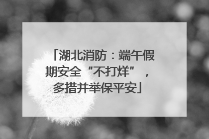 湖北消防：端午假期安全“不打烊”，多措并举保平安