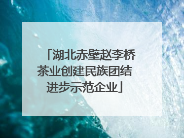 湖北赤壁赵李桥茶业创建民族团结进步示范企业