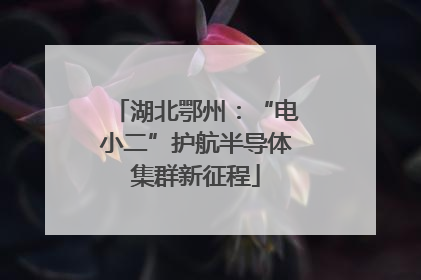 湖北鄂州：“电小二”护航半导体集群新征程