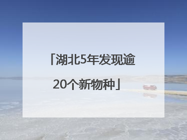 湖北5年发现逾20个新物种
