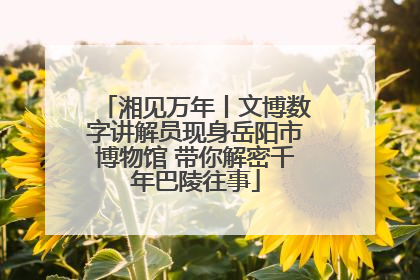 湘见万年丨文博数字讲解员现身岳阳市博物馆 带你解密千年巴陵往事