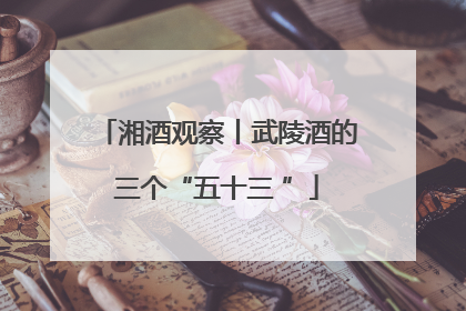 湘酒观察丨武陵酒的三个“五十三 ”