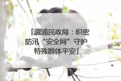 溆浦民政局：织密防汛“安全网”守护特殊群体平安