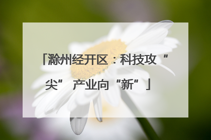 滁州经开区：科技攻“尖” 产业向“新”