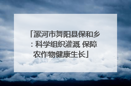 漯河市舞阳县保和乡：科学组织灌溉 保障农作物健康生长
