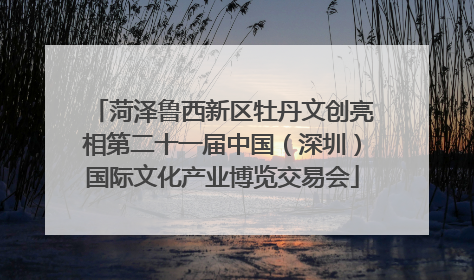 菏泽鲁西新区牡丹文创亮相第二十一届中国（深圳）国际文化产业博览交易会