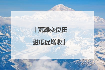 荒滩变良田 甜瓜促增收