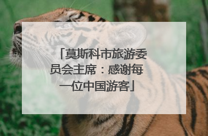 莫斯科市旅游委员会主席:感谢每一位中国游客