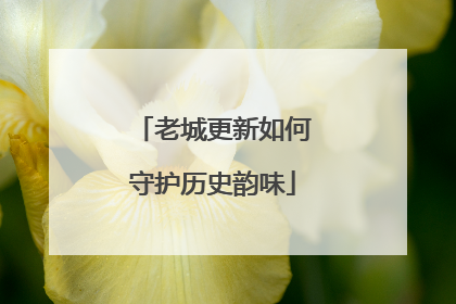 老城更新如何守护历史韵味