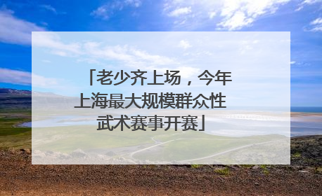 老少齐上场，今年上海最大规模群众性武术赛事开赛
