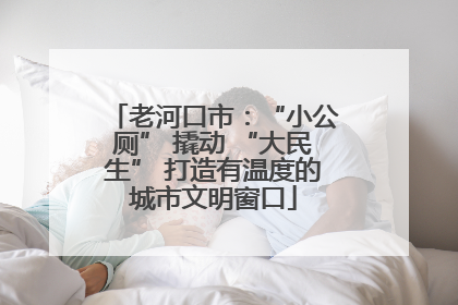 老河口市：“小公厕” 撬动 “大民生” 打造有温度的城市文明窗口