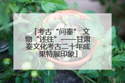考古“问秦” 文物“述往”——甘肃秦文化考古二十年成果特展印象