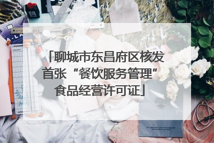 聊城市东昌府区核发首张“餐饮服务管理”食品经营许可证