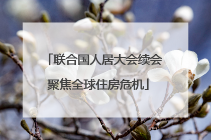 联合国人居大会续会聚焦全球住房危机