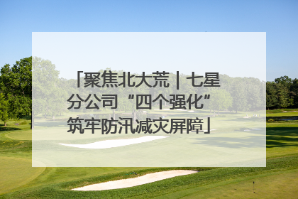 聚焦北大荒｜七星分公司“四个强化”筑牢防汛减灾屏障