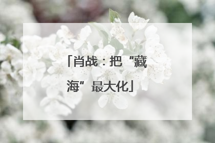 肖战：把“藏海”最大化