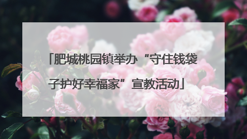 肥城桃园镇举办“守住钱袋子护好幸福家”宣教活动