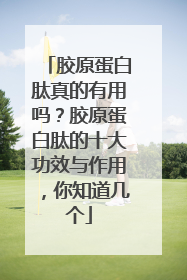 胶原蛋白肽真的有用吗？胶原蛋白肽的十大功效与作用，你知道几个