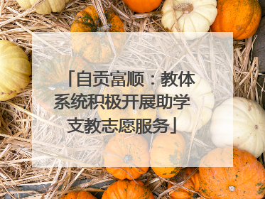 自贡富顺：教体系统积极开展助学支教志愿服务