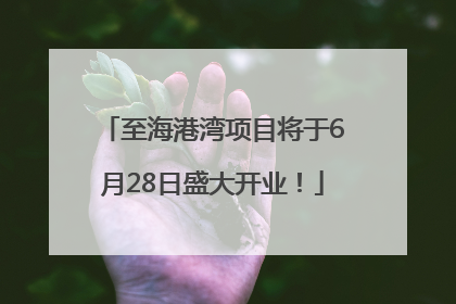至海港湾项目将于6月28日盛大开业！