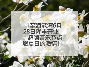 至海港湾6月28日隆重开业，超嗨音乐节点燃夏日的激情