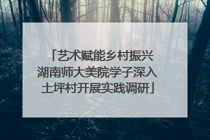 艺术赋能乡村振兴 湖南师大美院学子深入土坪村开展实践调研