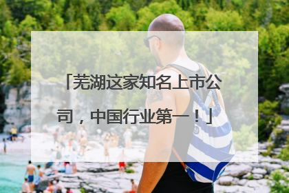 芜湖这家知名上市公司，中国行业第一！