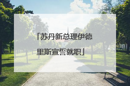 苏丹新总理伊德里斯宣誓就职