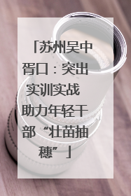 苏州吴中胥口：突出实训实战 助力年轻干部“壮苗抽穗”