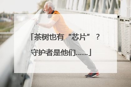 茶树也有“芯片”？守护者是他们……