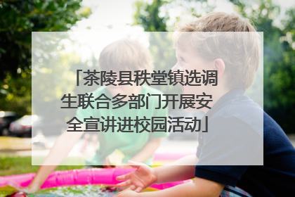 茶陵县秩堂镇选调生联合多部门开展安全宣讲进校园活动