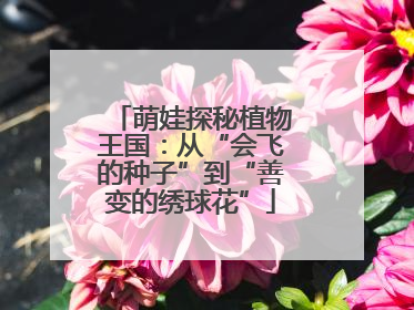 萌娃探秘植物王国：从“会飞的种子”到“善变的绣球花”