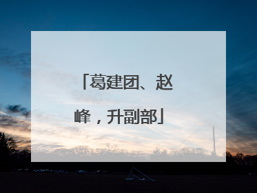 葛建团、赵峰，升副部