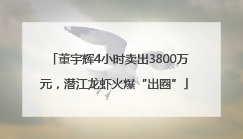 董宇辉4小时卖出3800万元，潜江龙虾火爆“出圈”