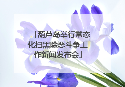 葫芦岛举行常态化扫黑除恶斗争工作新闻发布会