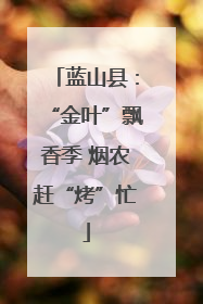 蓝山县：“金叶”飘香季 烟农赶“烤”忙
