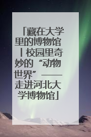 藏在大学里的博物馆丨校园里奇妙的“动物世界”——走进河北大学博物馆
