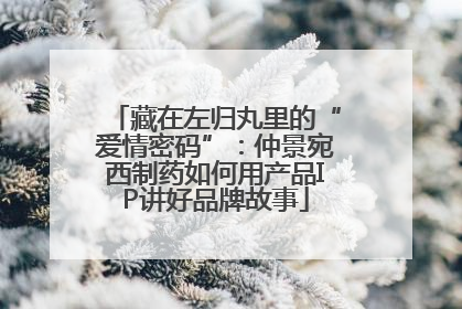 藏在左归丸里的“爱情密码”：仲景宛西制药如何用产品IP讲好品牌故事