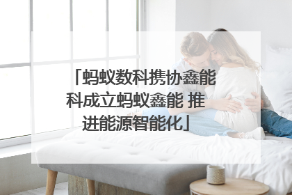 蚂蚁数科携协鑫能科成立蚂蚁鑫能 推进能源智能化