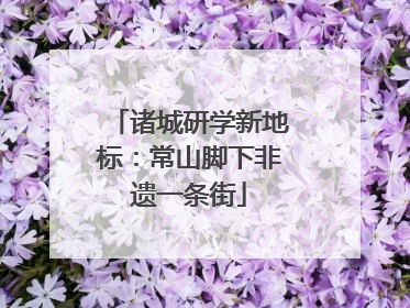 诸城研学新地标：常山脚下非遗一条街