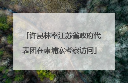 许昆林率江苏省政府代表团在柬埔寨考察访问