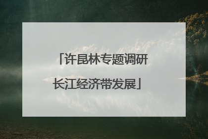 许昆林专题调研长江经济带发展