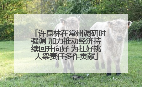 许昆林在常州调研时强调 加力推动经济持续回升向好 为扛好挑大梁责任多作贡献