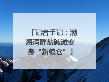 记者手记：渤海湾畔盐碱滩变身“新粮仓”