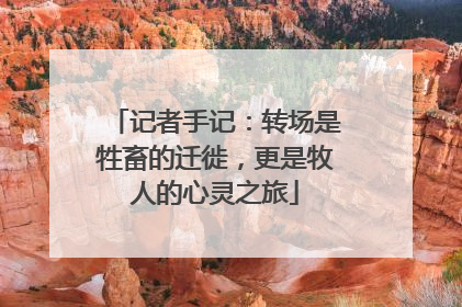 记者手记：转场是牲畜的迁徙，更是牧人的心灵之旅
