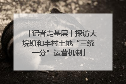 记者走基层丨探访大垸镇和丰村土地“三统一分”运营机制
