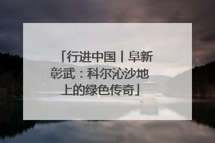 行进中国丨阜新彰武：科尔沁沙地上的绿色传奇