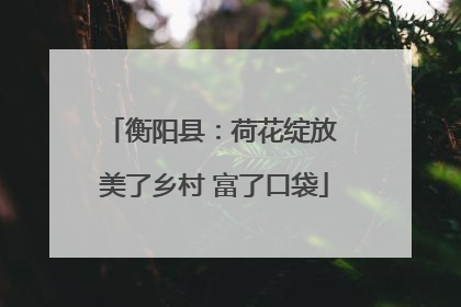衡阳县：荷花绽放 美了乡村 富了口袋