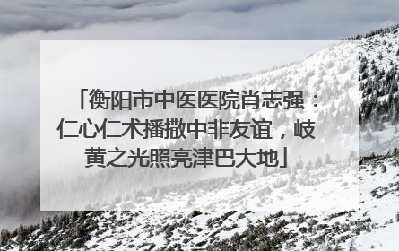 衡阳市中医医院肖志强：仁心仁术播撒中非友谊，岐黄之光照亮津巴大地
