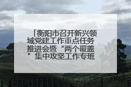 衡阳市召开新兴领域党建工作重点任务推进会暨“两个覆盖”集中攻坚工作专班 第一次会议